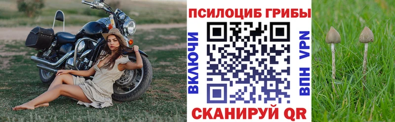 Псилоцибиновые грибы MAGIC MUSHROOMS  Уржум 