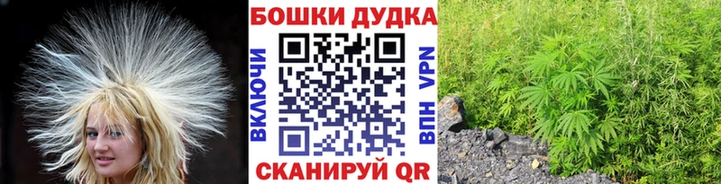 Каннабис SATIVA & INDICA закладка Уржум